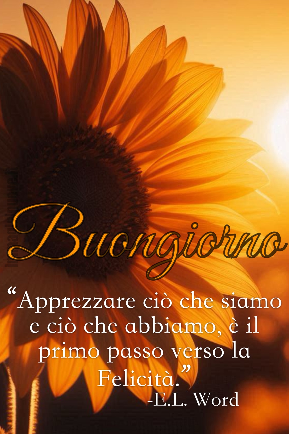 Buongiorno. “Apprezzare ciò che siamo e ciò che abbiamo, è il primo passo verso la Felicità.” -E.L. Word